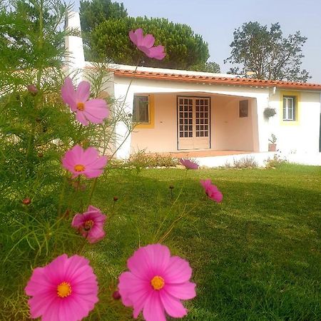 Villa Sondela Self Catering São Martinho do Porto Exterior foto
