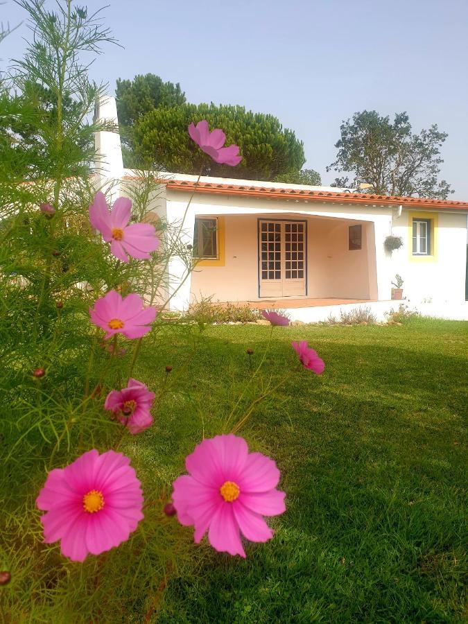 Villa Sondela Self Catering São Martinho do Porto Exterior foto