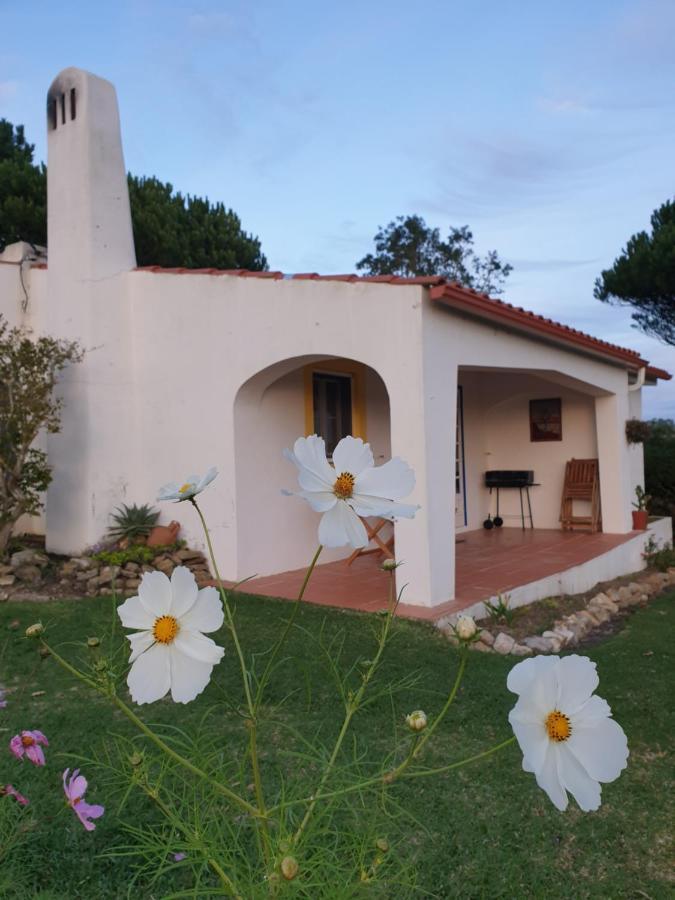Villa Sondela Self Catering São Martinho do Porto Exterior foto