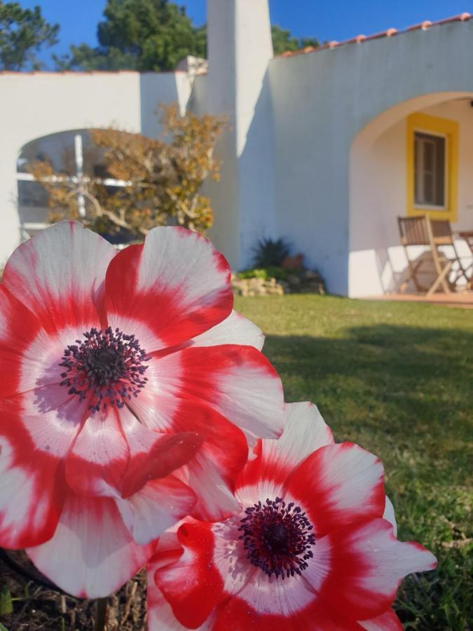 Villa Sondela Self Catering São Martinho do Porto Exterior foto