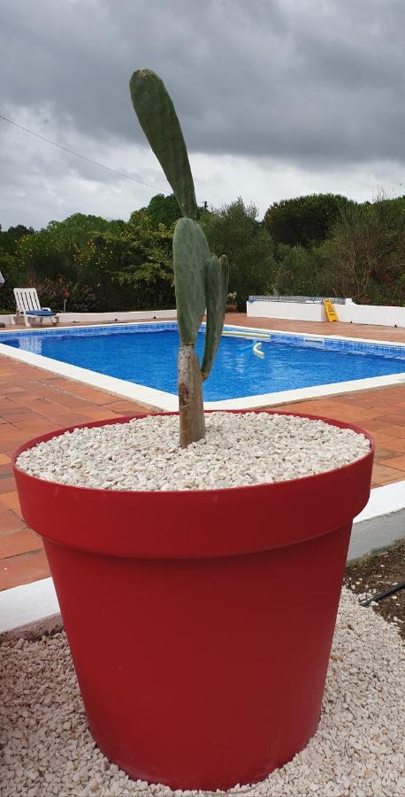 Villa Sondela Self Catering São Martinho do Porto Exterior foto